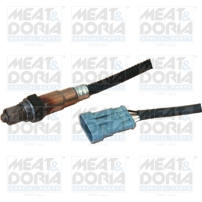 Oxygen Sensor